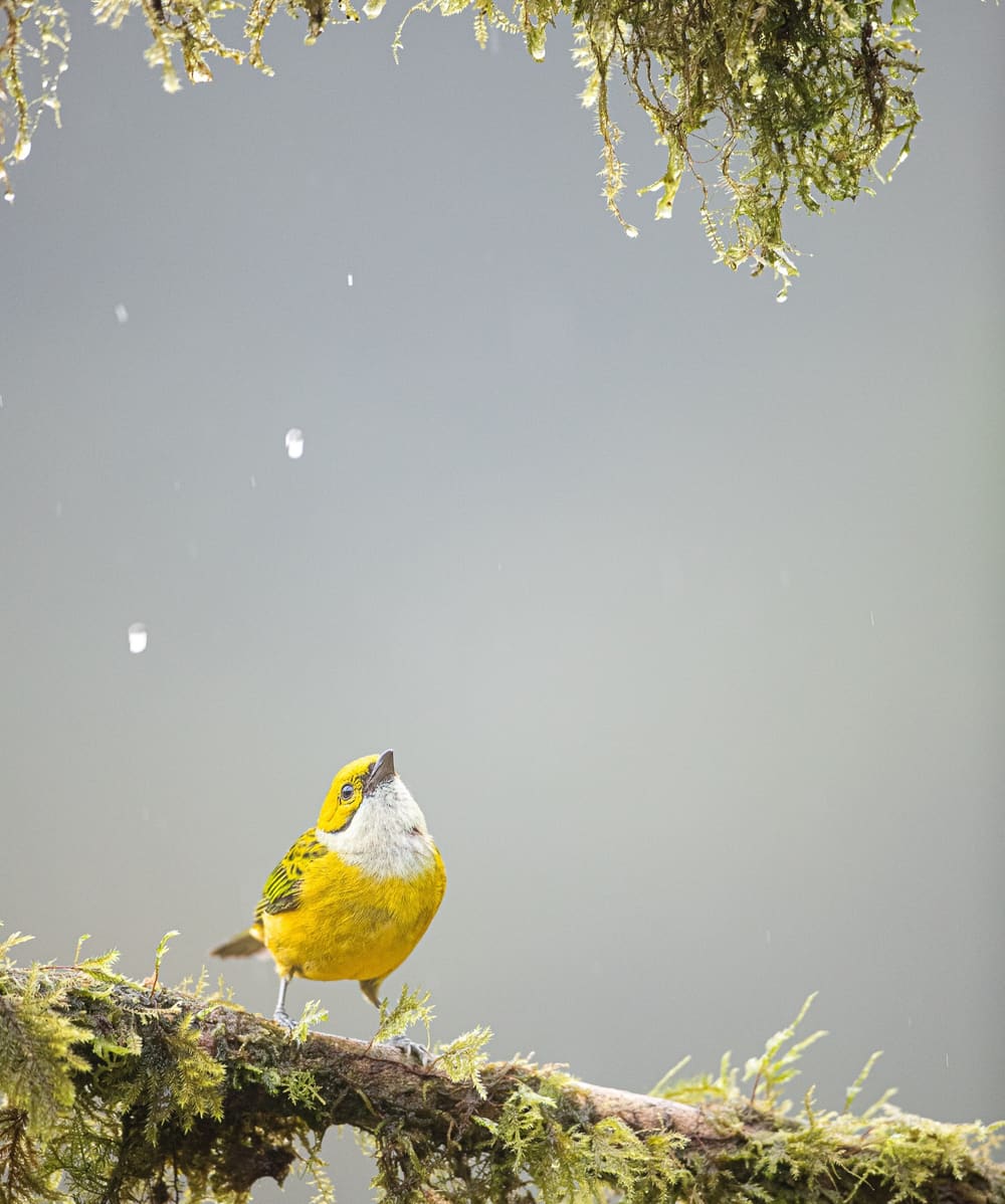 Wildlife photography featured on the expedition landing page